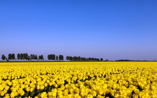 643703 (a): :1680x1050